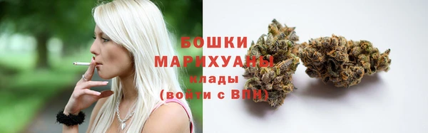 ГАЛЛЮЦИНОГЕННЫЕ ГРИБЫ Ладушкин