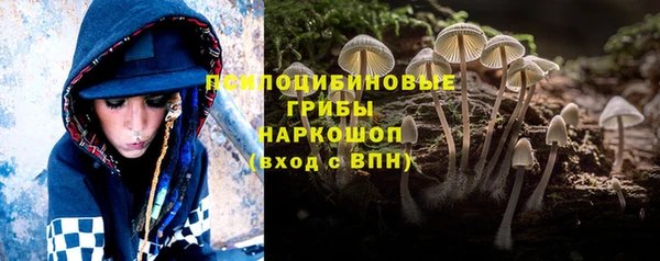 ГАЛЛЮЦИНОГЕННЫЕ ГРИБЫ Ладушкин
