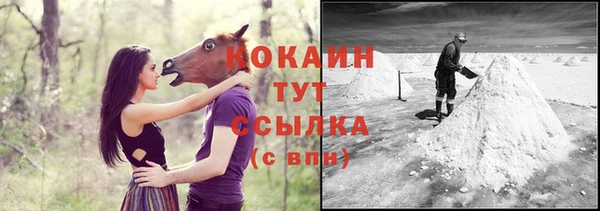 ПСИЛОЦИБИНОВЫЕ ГРИБЫ Лабытнанги