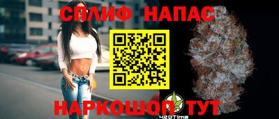 стаф Кандалакша