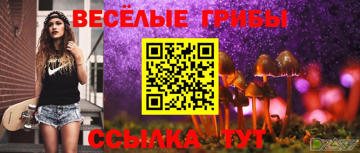 Тайшет  Галлюциногенные грибы мухоморы  Вход с VPN 