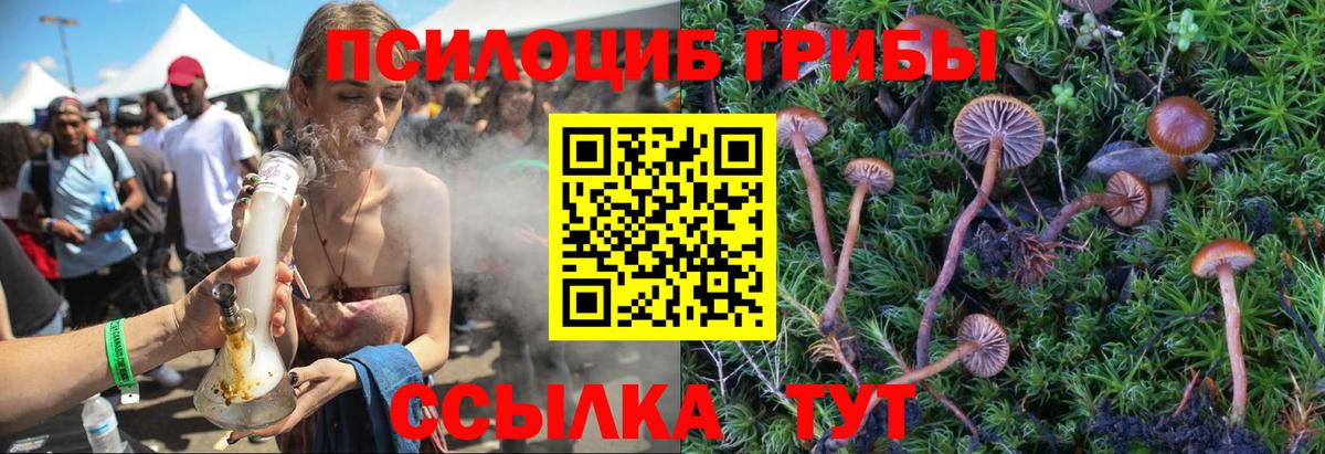 Галлюциногенные грибы Magic Shrooms Тайшет
