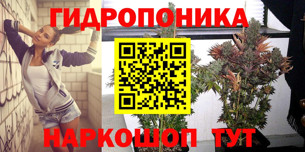 Бошки Шишки план Тайшет