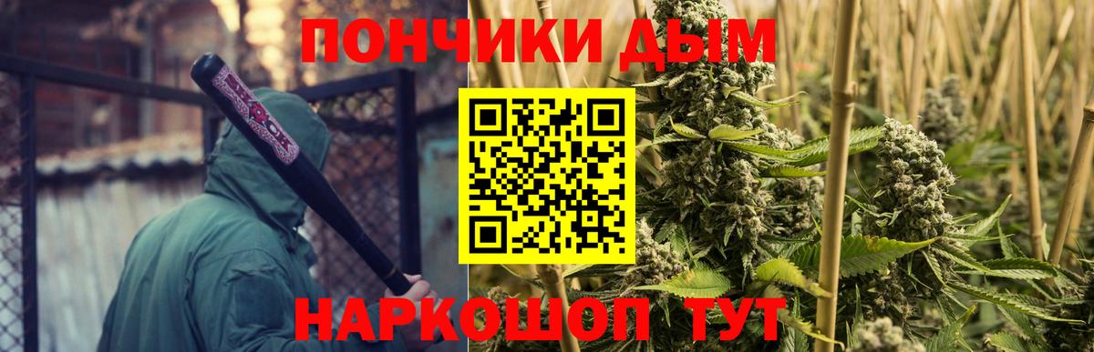 Шишки марихуана гибрид  МАРИХУАНА ГИДРОПОН  Тайшет  Конопля Bruce Banner 